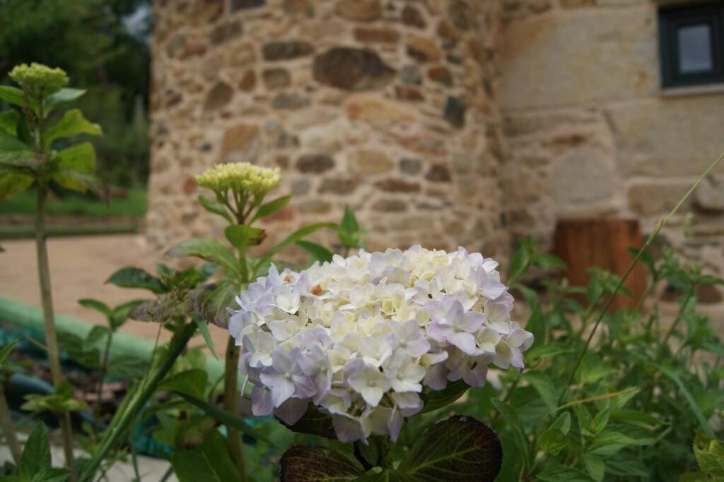 Villa Casa De Busto Zas Esterno foto